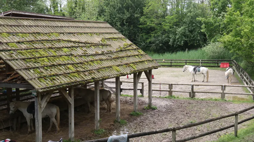 Bonaventura Monfalcone-22.05.2019 Isola della Cona-Parcheggi e Paesaggio-Staranzano-foto di Katia Bonaventura