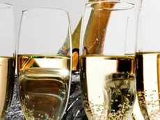 Calici di Prosecco