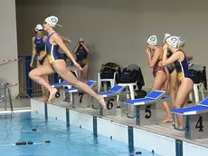 Foto BRUNI Trieste 18.05.2020 Pallanuoto: le orchette ritornano in piscina