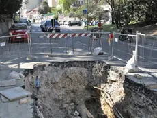 Lasorte Trieste 14/04/20 - Strada del Friuli e Scavo, Gretta