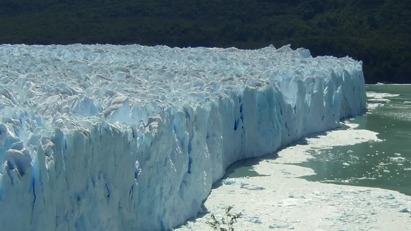 Il Perito Moreno: il fronte del ghiacciaio che si getta nel Lago Argentino (foto di E. Lodolo)