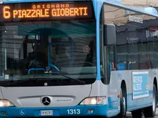 Silvano Trieste 29/03/2013 Il Bus della linea 6