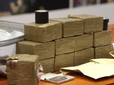 Lasorte Trieste 07/03/16 - Questura, Conferenza Stampa, Sequestro Droga