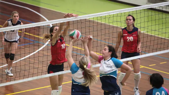 Lasorte Trieste 08/12/13 - Pallavolo Femminile, serie C, Libertas Simagas in Rosso - Vitus Zenzero Cannella