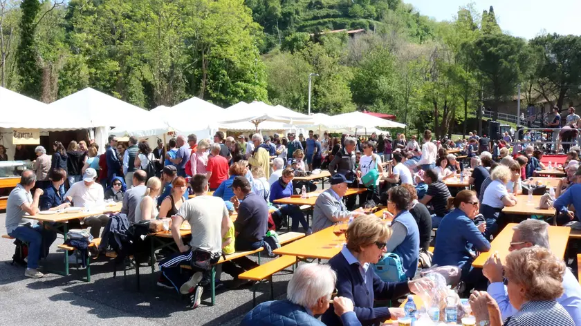 Cormons 22 Aprile 2019 Scampagnata sul monte quarin ©Foto Petrussi