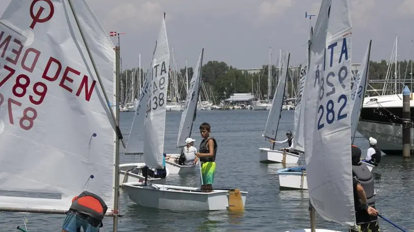 Giovani velisti impegnati nella prima giornata di gare della Gold Cup classe Optimist. Foto Bonaventura