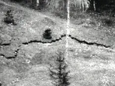 Una fessura che si era creata nel terreno nella foto di Edoardo Semenza