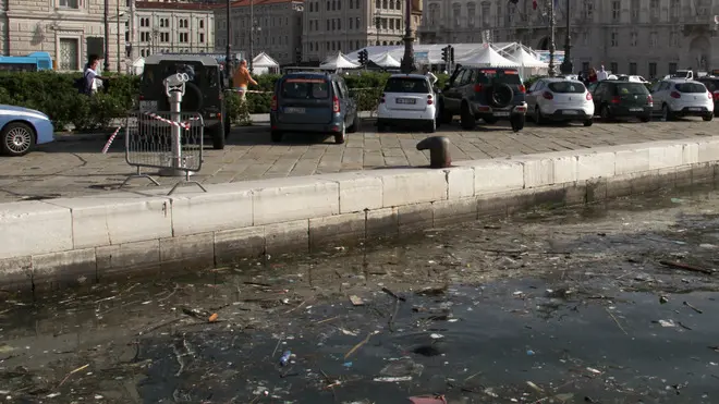 Lasorte Trieste 03/05/13 - Rive, Molo Audace, Mare Sporco, Immondizie
