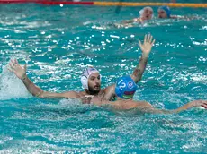 Silvano Trieste 28/01/2017 Pallanuoto, Pallanuoto Trieste - Acquachiara