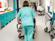 Il Pronto soccorso dell’ospedale di San Polo (Foto Bonaventura)