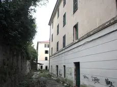 Lasorte Trieste 06/04/14 - Vicolo dell'Ospitale Militare 5 e 5/1