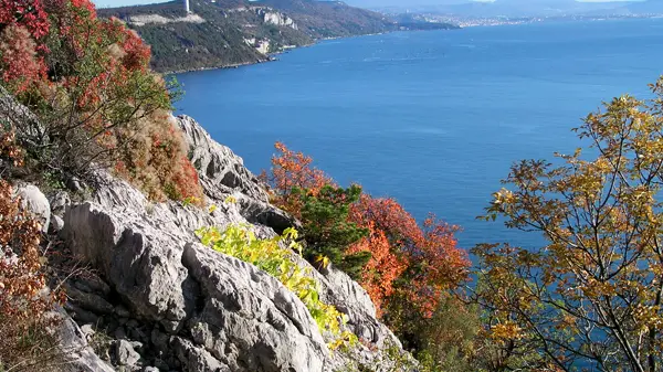 Una splendida immagine del Carso