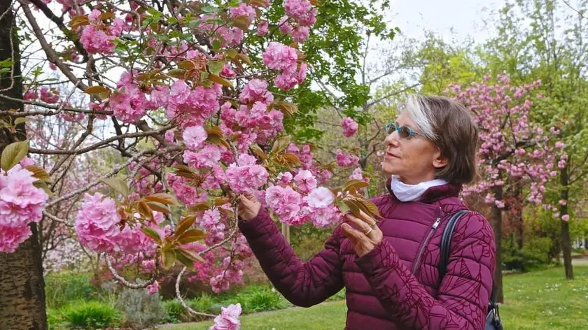 Liliana Resinovich in mezzo ai fiori in una foto scattata dal marito Sebastiano Visintin. PaoloManzi.com