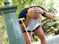 Alla ricerca di refrigerio contro il gran caldo