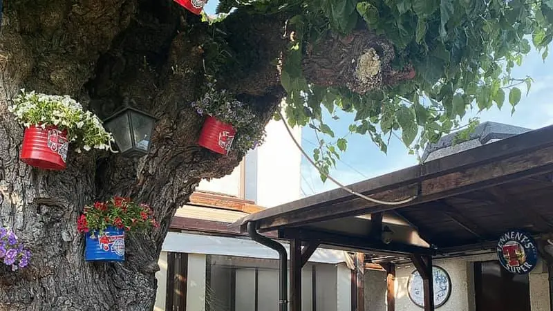 Il Red Baron Pub in una foto tratta dal profilo Fb del locale