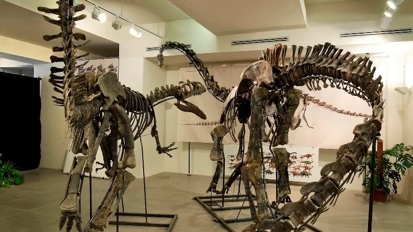 I dinosauri esposti a Miramare