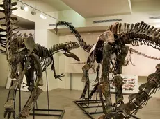 I dinosauri esposti a Miramare