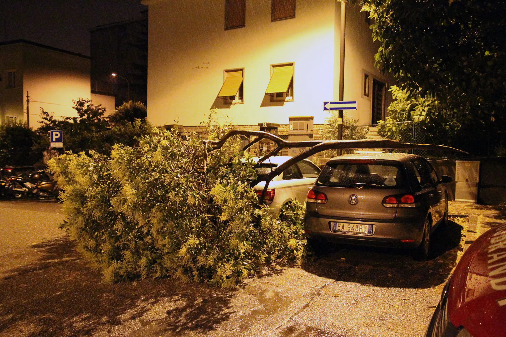 L'albero caduto all'angolo tra via Bellosguardo e via Carli (Andrea Riccobon)