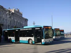 Autobus parcheggiati davanti al Palazzo della Regione