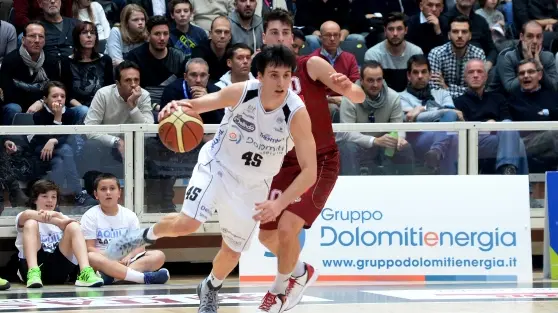 Marco Spanghero