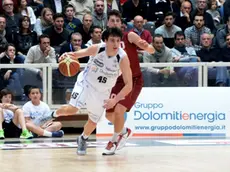 Marco Spanghero