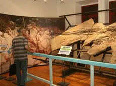 Lasorte Trieste 25/06/10 - Via Tominz, Inaugurazione Museo di Storia Naturale, Antonio