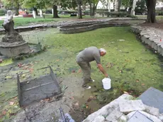 Lasorte Trieste 26/08/11 - Giardino Pubblico, Laghetto, Urso ENPA