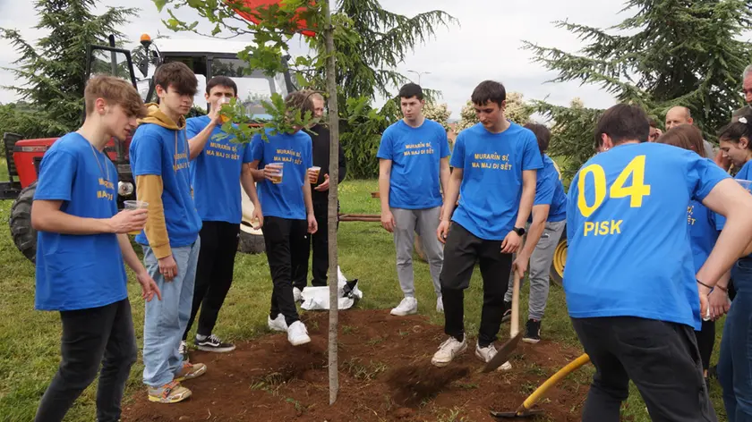 Bumbaca Gorizia © Pierluigi Bumbaca fotografo