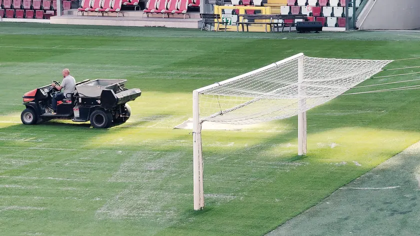 Lasorte Trieste 12/09/23 - Stadio Nereo Rocco, Terreno di Gioco, Prato