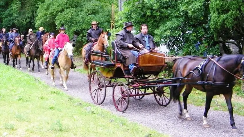 Un giro in carrozza sul Carso