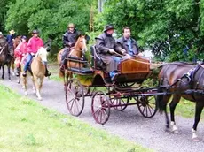 Un giro in carrozza sul Carso