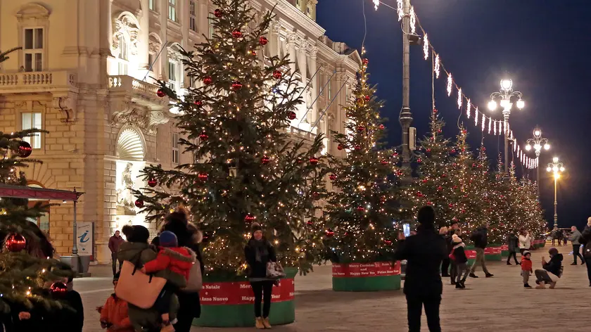 Silvano Trieste 2018-11-29 Piazza Unita', l'accensione degli Alberi di Natale