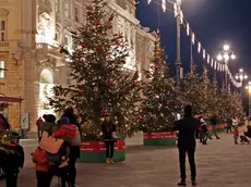 Silvano Trieste 2018-11-29 Piazza Unita', l'accensione degli Alberi di Natale