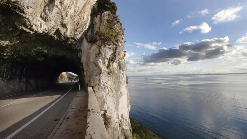 sterle trieste costiera galleria naturale rocciatore