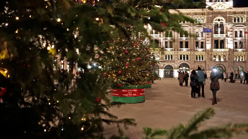 Silvano Trieste 2018-11-29 Piazza Unita', l'accensione degli Alberi di Natale