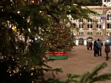 Silvano Trieste 2018-11-29 Piazza Unita', l'accensione degli Alberi di Natale