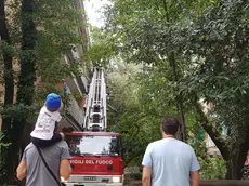 La scala dei vigili del fuoco a Grado Pineta per la rimozione del pioppo crollato (foto Antonio Boemo)