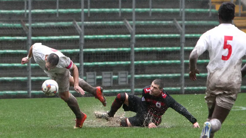 Lasorte Trieste 14/02/16 - Serie D, Triestina- Fontanafredda