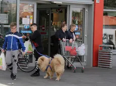 Bonaventura Monfalcone-17.04.2017 Negozi aperti-specialità -Eurospar-Via Rossetti-Monfalcone-foto di Katia Bonaventura