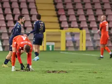 Vallocchia rattoppa il manto erboso del Rocco foto Lasorte