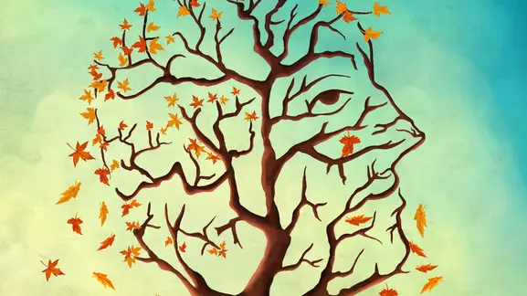 Illustration of maple tree shedding leaves