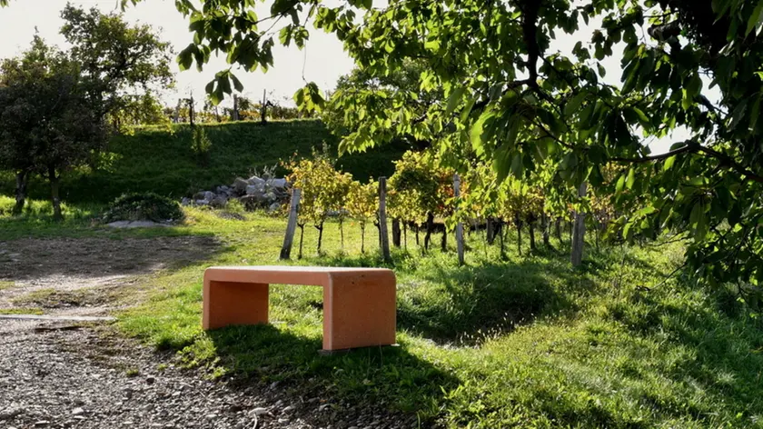 Una delle panchine arancioni di Oslavia