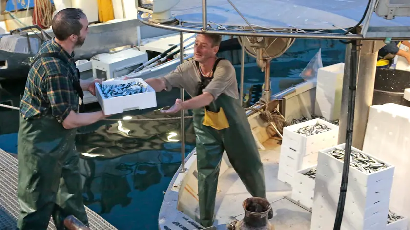 Silvano Trieste 2018-07-19 I pescatori a Trieste