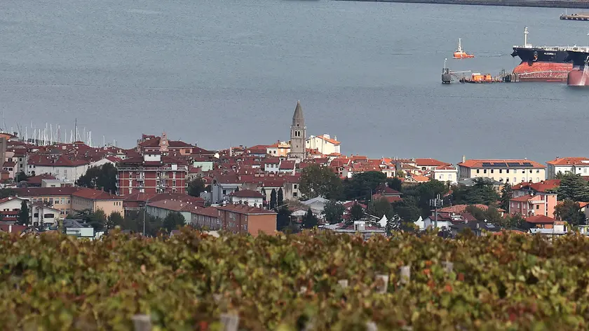 Una veduta di Muggia