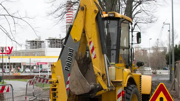 Bonaventura Monfalcone-17.02.2016 Albero caduto-Via Tartini-Monfalcone-foto di Katia Bonaventura