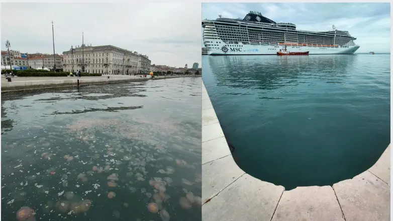 Il mare lungo le Rive di Trieste (pieno di meduse il 5 maggio) e senza (sabato 7 maggio). Foto di Andrea Lasorte