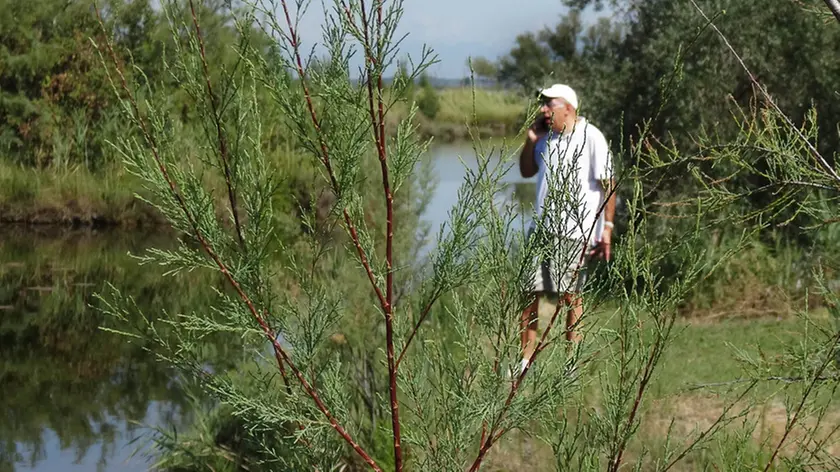 Enzo Tirelli in mezzo al terreno nel quale sorgerà il resort (Foto Boemo)