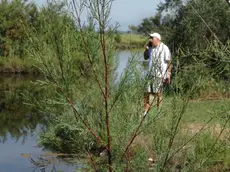 Enzo Tirelli in mezzo al terreno nel quale sorgerà il resort (Foto Boemo)