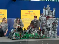 Silvano Trieste 2019-02-20 I Love Lego