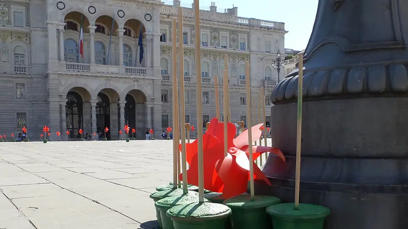 Lasorte Trieste 06/06/15 - Piazza Unità, Girandole, BoraMata